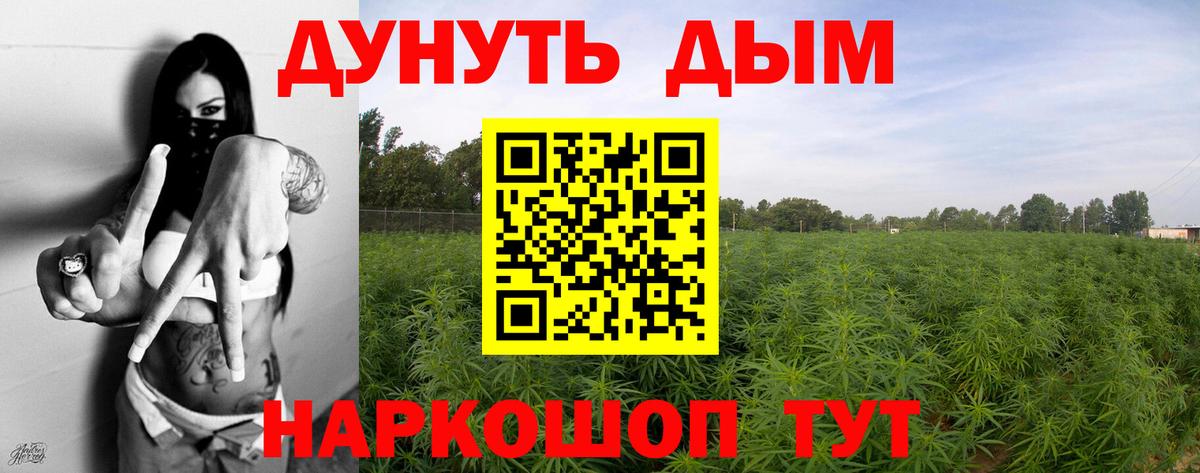 МАРИХУАНА семена  Конопля марихуана  Клин  Марихуана сатива  Вход с VPN 